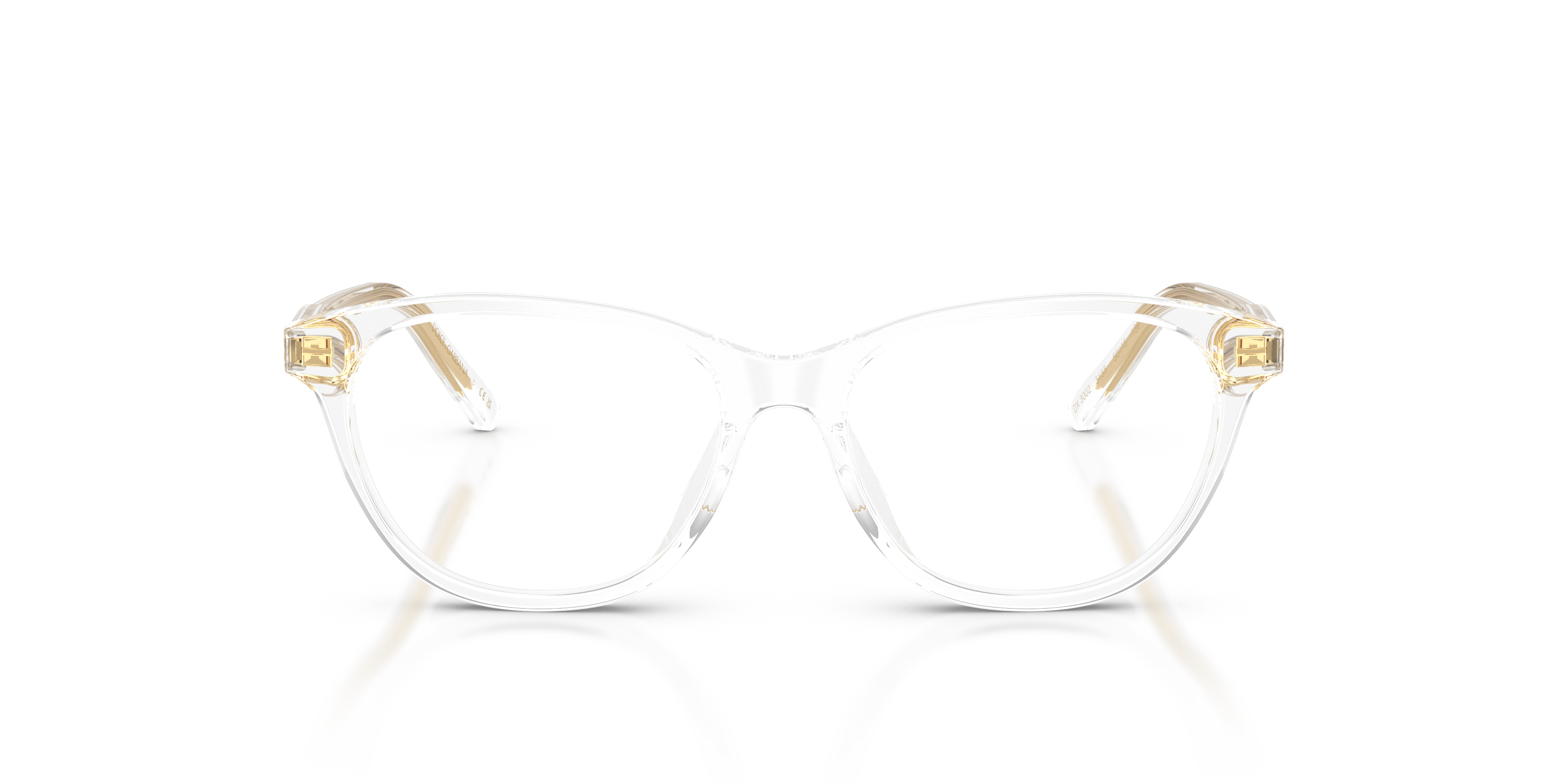 Dolce & Gabbana DX3002 3133  